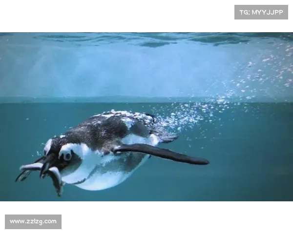 探寻遗失的传奇与神秘生物的奥秘之旅