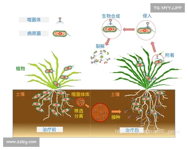全面解析东超含义及其在不同领域的应用与影响